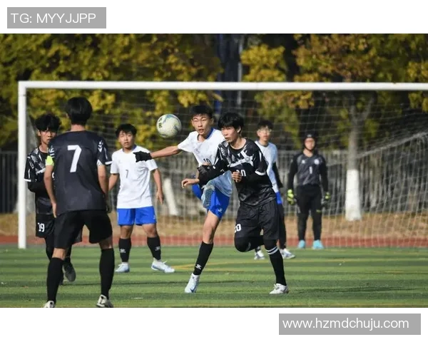 以青训体系为核心打造足球未来发展新格局的探索与实践
