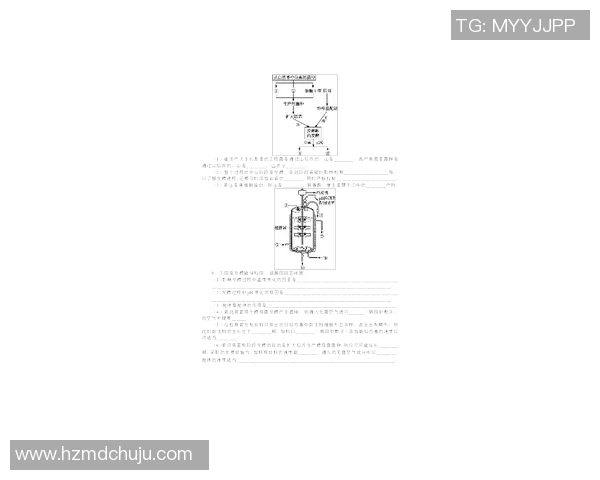基于科学原理的高效训练方法解析与应用探讨