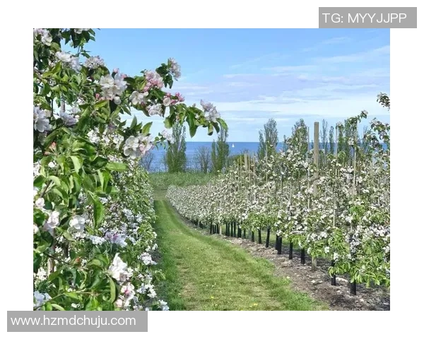 果园生态与可持续发展：探索现代果园管理与环境保护的融合路径