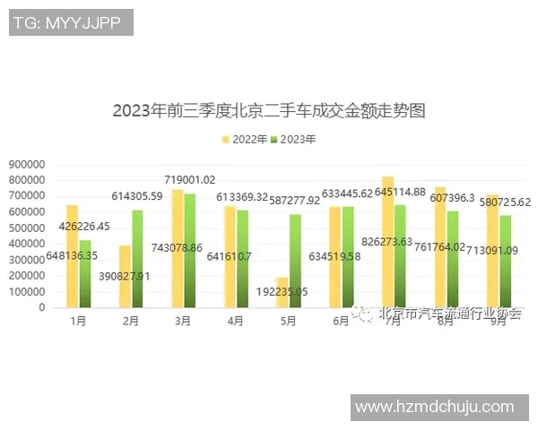 北京极限运动队区域防守分析及其在比赛中的得失表现探讨