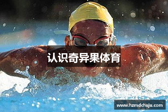 认识奇异果体育